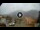 Webcam in Ebbs, 0.8 mi away
