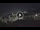 Webcam in Genova, 13.2 mi away