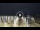 Webcam in Tirrenia, 5 mi away