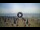 Webcam in Tirrenia, 5 mi away