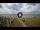 Webcam in Tirrenia, 13.2 km