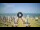Webcam in Tirrenia, 5 mi away