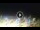Webcam in Tirrenia, 6.1 mi away