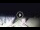 Webcam in Tirrenia, 15.2 mi away