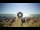 Webcam in Tirrenia, 14.6 km entfernt