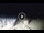 Webcam in Tirrenia, 13.2 km entfernt