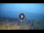 Webcam in Tirrenia, 18.5 mi away