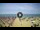 Webcam in Tirrenia, 14.6 km entfernt
