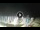 Webcam in Tirrenia, 3.5 km