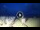 Webcam in Tirrenia, 18.7 km