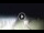 Webcam in Tirrenia, 9.5 km