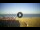 Webcam in Tirrenia, 0.4 mi away