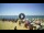 Webcam in Tirrenia, 3.7 mi away