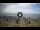 Webcam in Tirrenia, 7.2 mi away