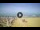 Webcam in Tirrenia, 10.7 mi away