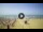 Webcam in Tirrenia, 1.9 mi away