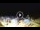Webcam in Tirrenia, 6.1 mi away