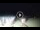 Webcam in Tirrenia, 3.7 mi away