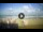 Webcam in Tirrenia, 11.1 mi away
