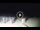 Webcam in Tirrenia, 3.7 mi away