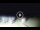 Webcam in Tirrenia, 9.5 km entfernt