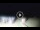 Webcam in Tirrenia, 9.5 km
