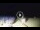 Webcam in Tirrenia, 1.4 mi away