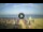 Webcam in Tirrenia, 14.6 km entfernt