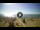 Webcam in Tirrenia, 18.5 mi away