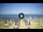 Webcam in Tirrenia, 11.8 mi away