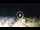 Webcam in Tirrenia, 48.4 km