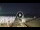 Webcam in Tirrenia, 36.2 km