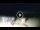 Webcam in Tirrenia, 9.5 km entfernt