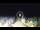 Webcam in Tirrenia, 48.4 km