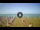 Webcam in Tirrenia, 28.9 km