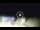 Webcam in Tirrenia, 7.2 mi away