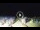 Webcam in Tirrenia, 27.8 km