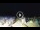 Webcam in Tirrenia, 14.6 km