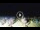 Webcam in Tirrenia, 13.1 km