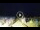 Webcam in Tirrenia, 3.5 km