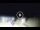 Webcam in Tirrenia, 11.1 mi away