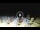 Webcam in Tirrenia, 5 mi away