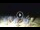 Webcam in Tirrenia, 7.2 mi away