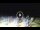 Webcam in Tirrenia, 5 mi away