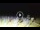 Webcam in Tirrenia, 5.1 km