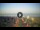 Webcam in Tirrenia, 41.1 km