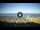 Webcam in Tirrenia, 3.5 km
