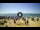 Webcam in Tirrenia, 18.7 km