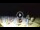 Webcam in Tirrenia, 5 mi away
