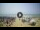 Webcam in Tirrenia, 28.8 km